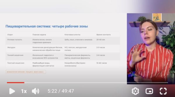 1. От рта до клетки: как устроена пищеварительная система здорового человека